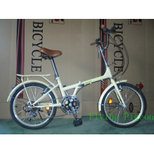 Variable Speed 20inch Folding Bicycle (FD-024)